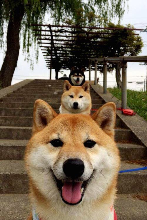 爵士轻取黄蜂锁定胜局,哈登末节关键球奠定胜势