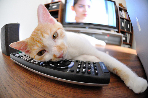 开云下载-怒放与陨落，当努涅斯的爆发摔碎了乌拉圭的剧本，突尼斯写下坚韧的过关宣言