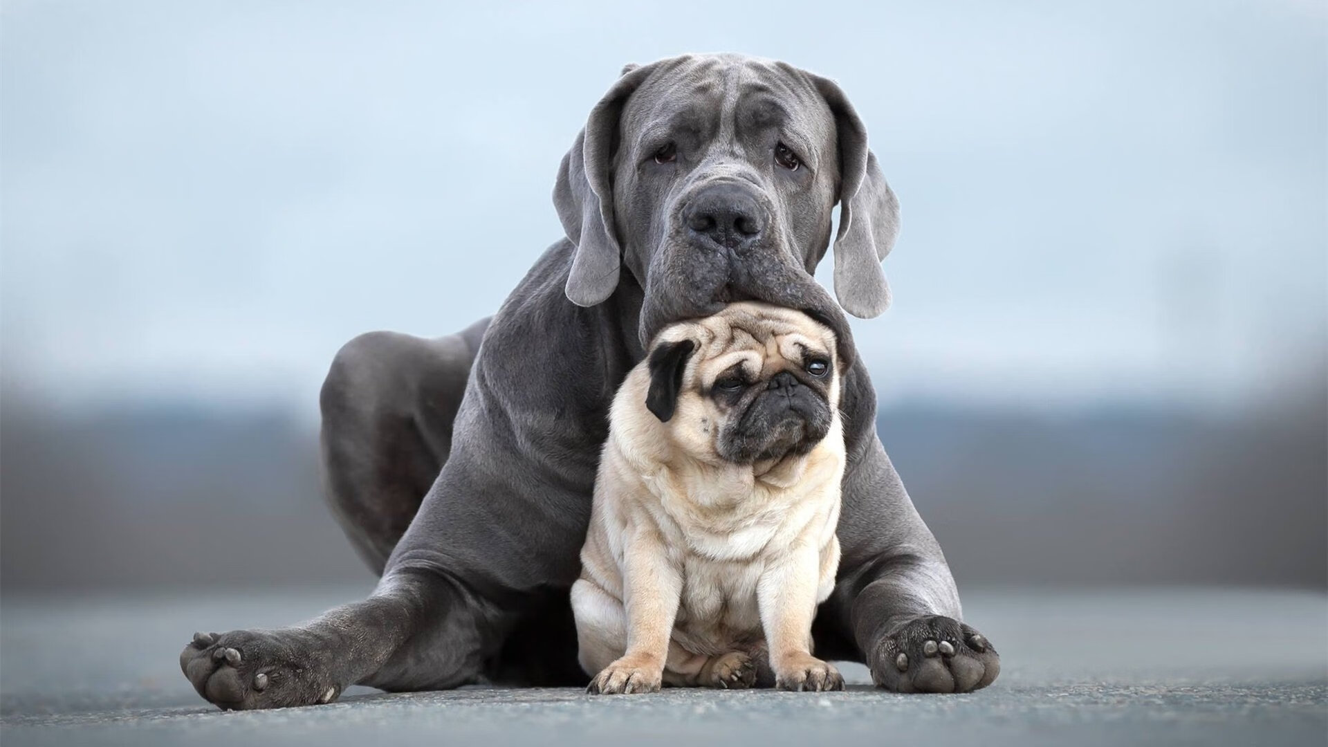 国王驾临！39岁詹姆斯末节15分撕碎绿军，奥运前最后宣言
